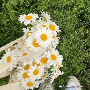 中国十大集成灶品牌排行榜：亿田帅丰上榜，第一主打节能环保厨具