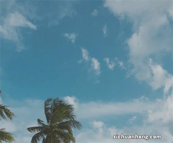 三星很大方，8+256G官方降1400，已成国产“大天敌”