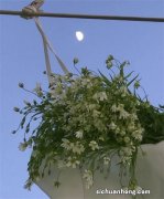 三星怎么了？12G+256G又降了1200元，价格破发很明显