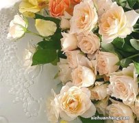 关于汽车制动系统有哪些故障？该如何解决？