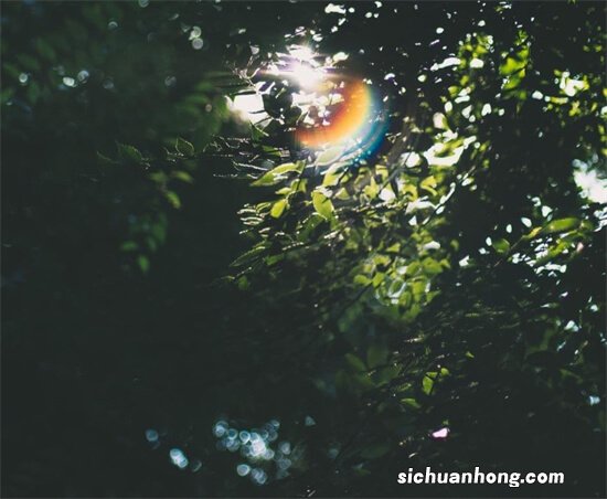 十年的二手房还能不能买？