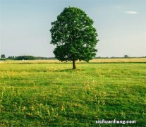 让安卓手机逆天改命的方法