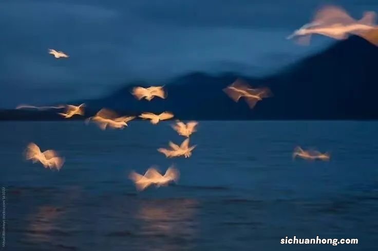 如何辨别承兑汇票背书中的回头、重复、质押