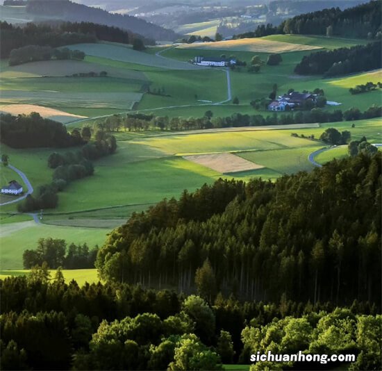 吃核桃前,牢记要多做一件事,很多人都忽略了,核桃发涩还不香