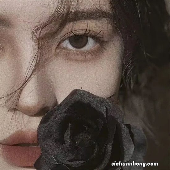 苹果推出Mac自助维修计划