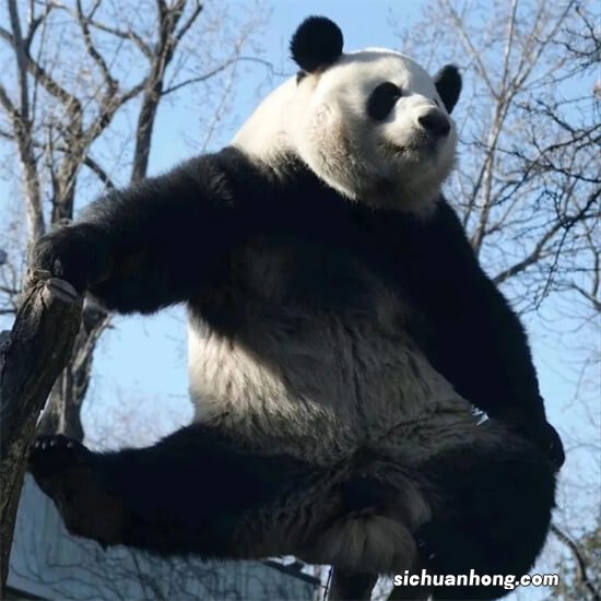 河南防火门品牌排行榜,金裕城上榜,第一在国内非常畅销