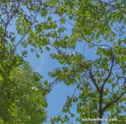 硅钙板品牌十大排名，腾飞普天上榜，第一主营绿色装饰板材