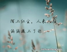 干货：详解摩托车轮胎在转弯中的力量与角度