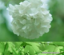 持有多张工行信用卡应该如何还款？