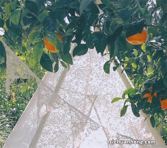 材质q235b是什么材料 q235b是什么材质