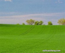 盆柜品牌排行榜前十名，富兰克第十，第一主打高端实木柜