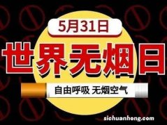 摄影作品被意外删除？！教你三招恢复数据