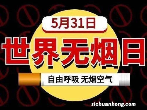 摄影作品被意外删除？！教你三招恢复数据