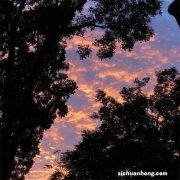 pvc运动地板品牌排行榜，福尔波上榜，第一经济耐用受欢迎