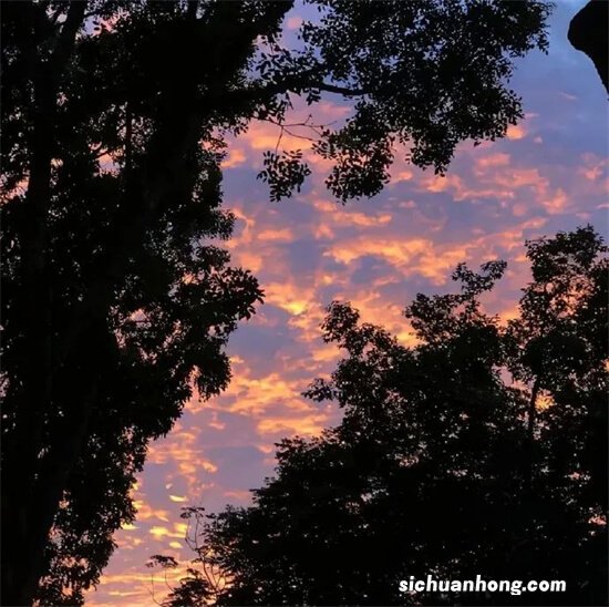 pvc运动地板品牌排行榜，福尔波上榜，第一经济耐用受欢迎