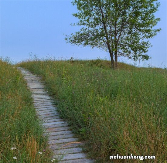 Win11系统使用中的两点困惑不知道你们遇见没有