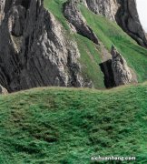 比Plus还要大的iPhone？