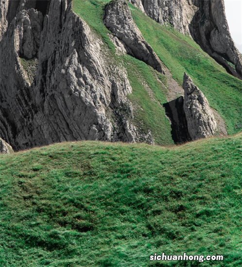 比Plus还要大的iPhone？