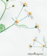 网红街区热闹又恼 城市烟火与安宁生活如何兼得？