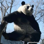 糖尿病测血糖地正确方法，如何有效的监测血糖？