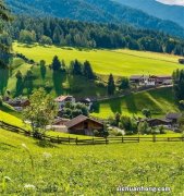 牛蒡能冷冻保存吗 什么是牛蒡