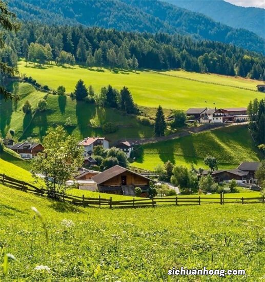 牛蒡能冷冻保存吗 什么是牛蒡