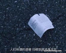 丙种球蛋白是免疫大王吗