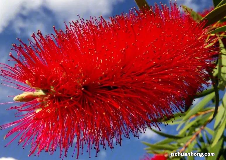 千鹤：股市中赚钱的两大模式