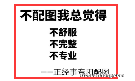吓人！杭州男子刷视频刷到自己老婆！被偷拍半年，安装者竟是同事