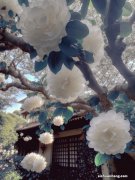 投资金融的坑：你的投资回款有问题吗？