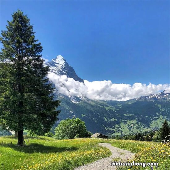 《七号房的礼物》流过了这么多眼泪,原来真正的礼物是它,多图