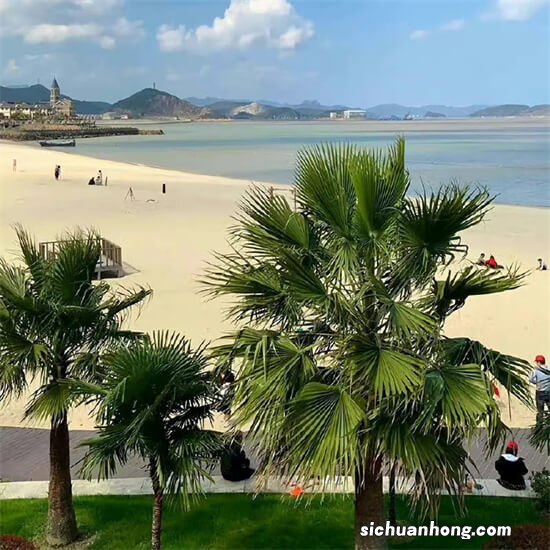 国内一线马桶品牌排行榜：恒洁卫浴上榜，第一有非常高的知名度