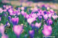 6人小工厂，月净利润10万，小型企业怎么能更赚钱？