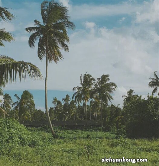 A股唯一不坑人的K线形态“攻击迫线”，死记一种形态，你离股神就越来越近了