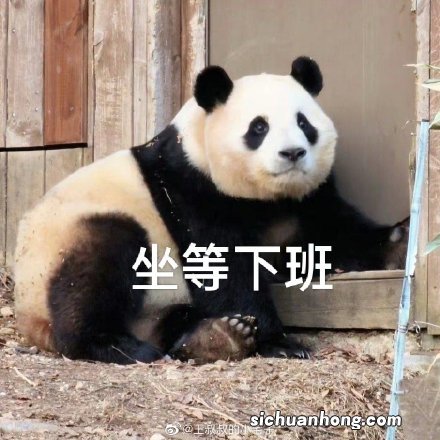 支付宝借呗有额度为什么借不了了？