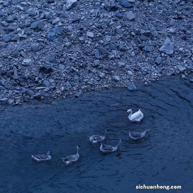 目前成都卖的飞起的公寓，你知道卖二手的税费是多少么？