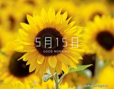 紫菜品牌排名：渔禾岛上榜，阿一波第一产品老少皆宜