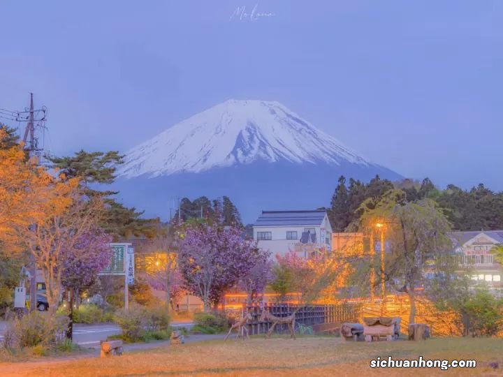 科目三的详细介绍包过版