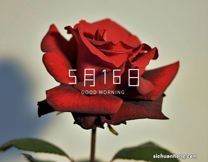 汽车仪表盘显示时间不准,怎么回事