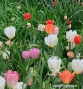 最近准备把80年代的老房子装修一下，有什么好的建议呀？