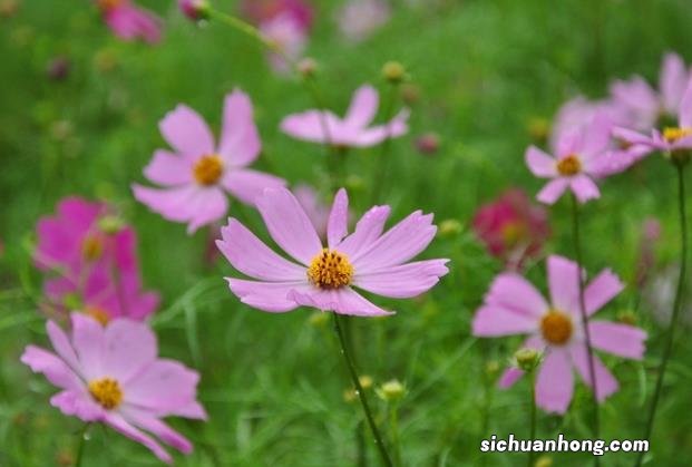 无游戏不青春,OPPO手机游戏功能合集