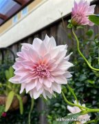 支付宝花呗出新功能，最多可开通3个花呗