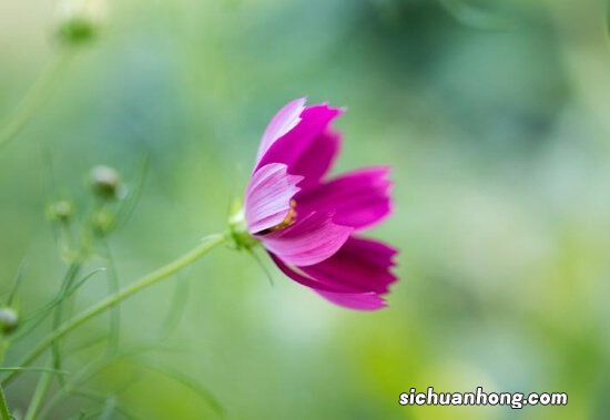 陈老师开讲啦；股票基本面分析，技术面分析，实战操作