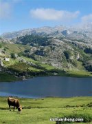 红外线报警器品牌排行榜：万宝泽第三，第一是国内专业品牌