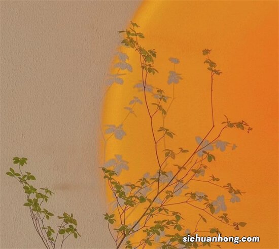 三星直击:移动打印蕴藏哪些新商机?