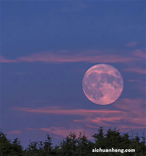 开车倒车时离合器半联动伤车吗？