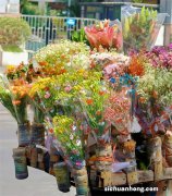 大闸蟹品牌排行榜：宝应湖上榜，第一来自阳澄湖味道鲜美