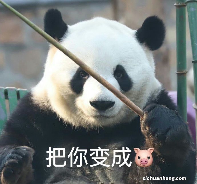 无论是不是过年 开车都最好配备这些工具