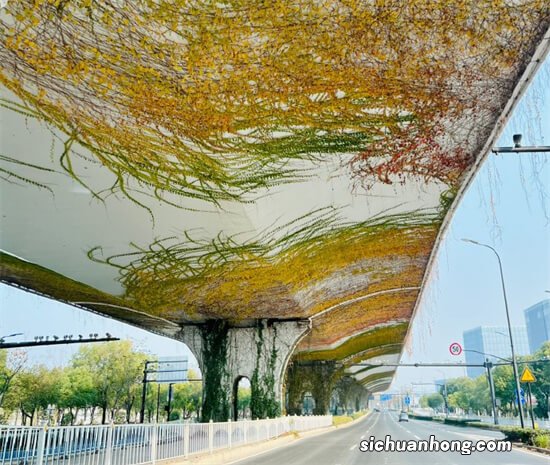 这款骁龙835手机，竟然原生装Win10电脑系统