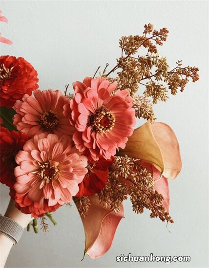 我国研制出高柔韧性单晶硅太阳电池 该成果有哪些优势？